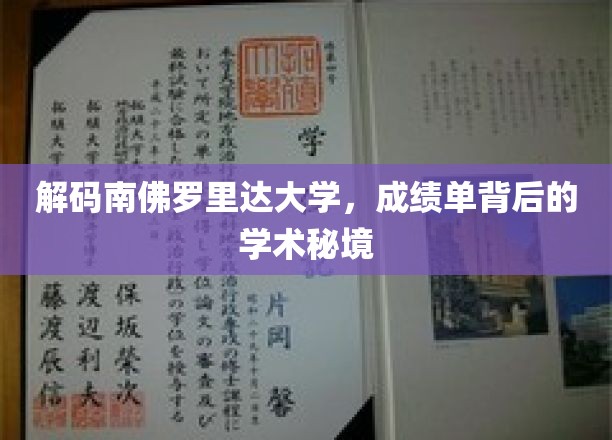 探寻南佛罗里达大学，揭秘学术成就背后的独特风景