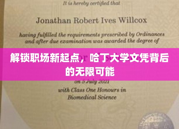 解锁职场新起点，哈丁大学文凭背后的无限可能