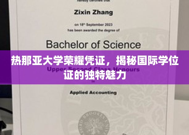 探索热那亚大学荣誉证书，解码国际学位的非凡价值