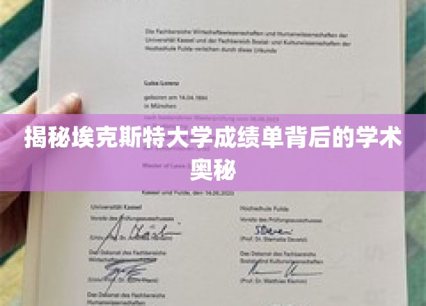 埃克斯特大学成绩单，探寻学术卓越的神秘面纱