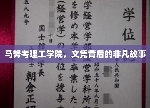 马努考理工学院，文凭背后的非凡故事