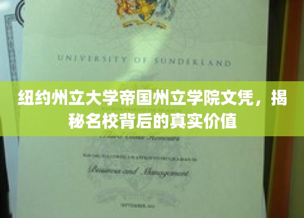 解锁纽约州立大学帝国州立学院，文凭背后的深层价值与卓越内涵