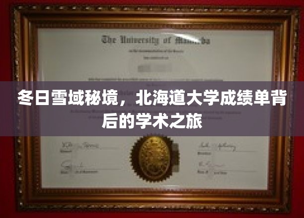 探寻雪国秘境，北海道大学成绩单揭示的学术奇缘