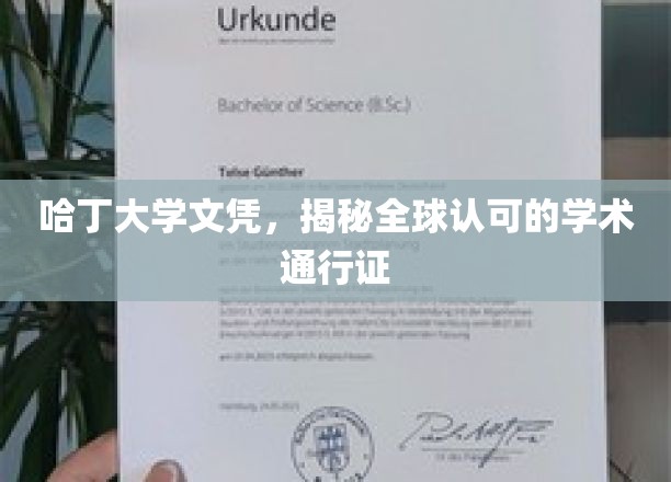 哈丁大学文凭，跨越国界的国际学术凭证