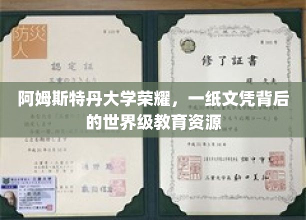 阿姆斯特丹大学荣耀，一纸文凭背后的世界级教育资源