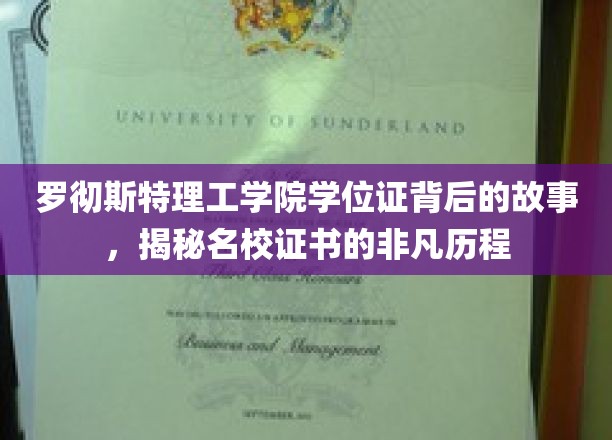 罗彻斯特理工学院学位证，一纸证书背后的非凡成长之路