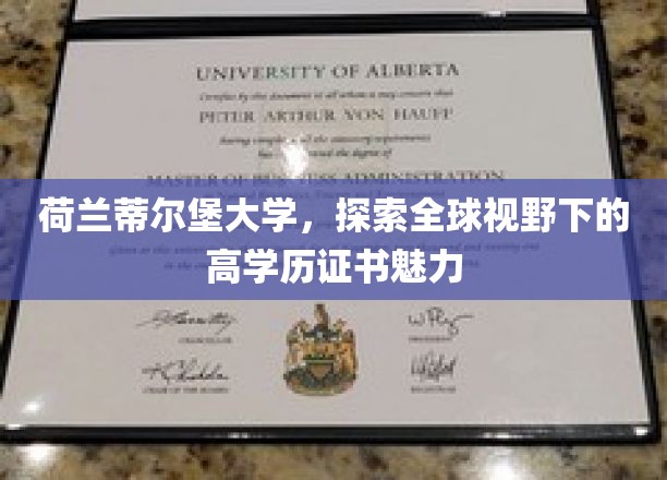 荷兰蒂尔堡大学，探索全球视野下的高学历证书魅力