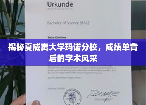 揭秘夏威夷大学玛诺分校，成绩单背后的学术风采