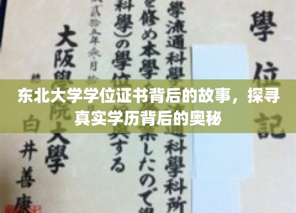 东北大学证书之谜，一纸学位证背后的历史探寻之旅
