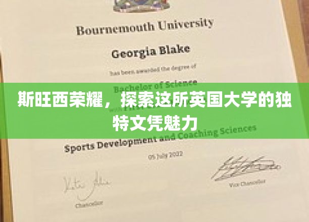 斯旺西荣耀，探索这所英国大学的独特文凭魅力