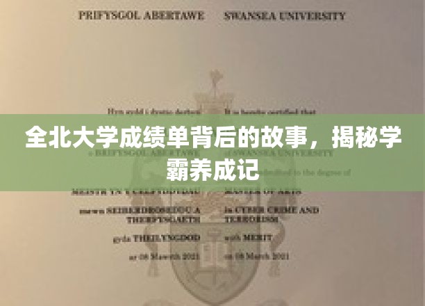 学霸秘籍大揭秘，全北大学成绩单背后的励志成长史