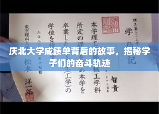 庆北学子奋斗轨迹，揭开成绩单背后的励志篇章