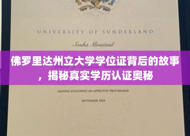 破解学历真伪，佛罗里达州立大学学位证背后的不为人知传奇