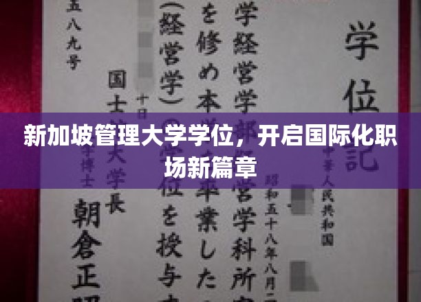 跨越国界，新加坡管理大学学位助你打造全球职场新视野