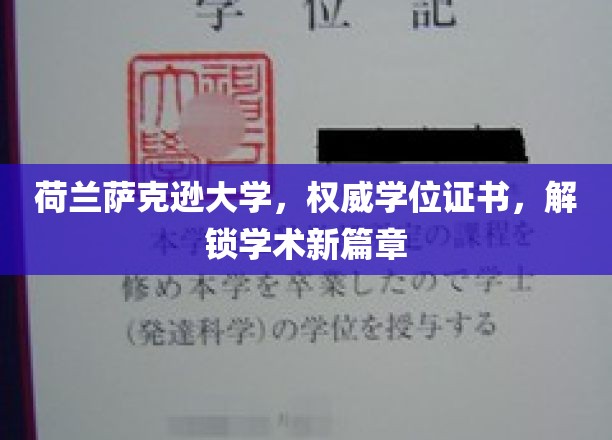 荷兰萨克逊大学荣耀学位，开启学术精英之门