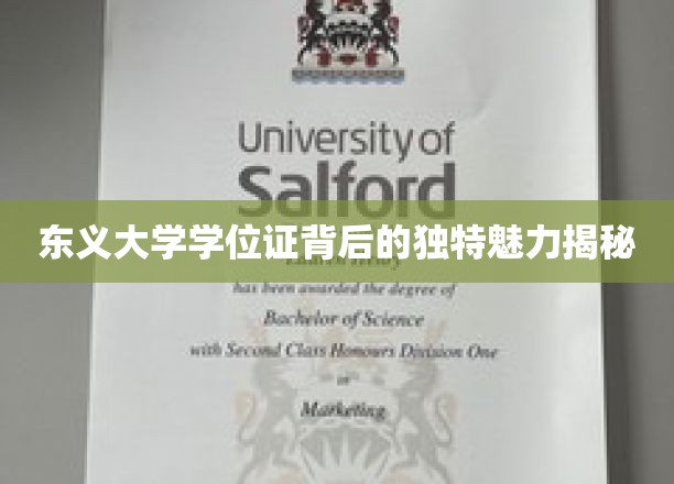 探寻东义大学学位证背后的神秘光环