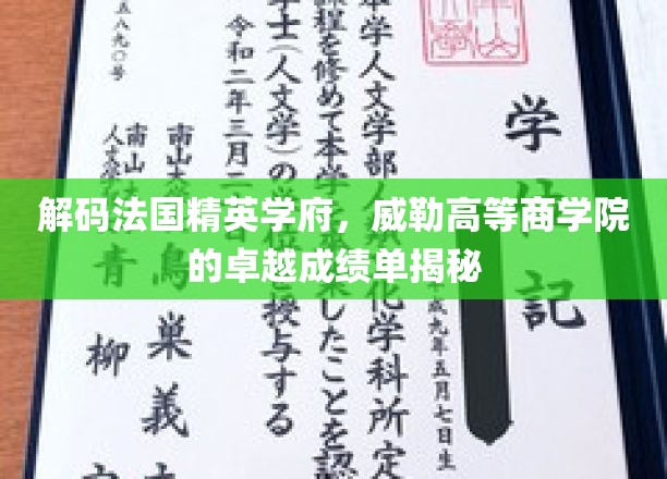 揭秘法国顶级商学院威勒学府，精英摇篮的教育传奇