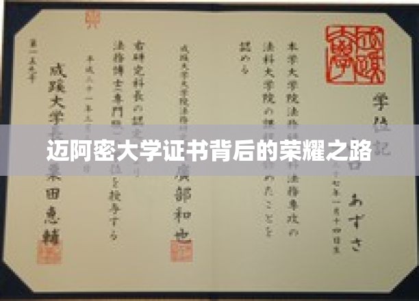 迈阿密大学证书背后的荣耀之路