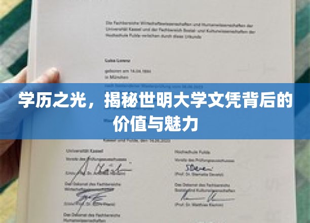 世明大学文凭，揭开学历背后的非凡价值与璀璨魅力