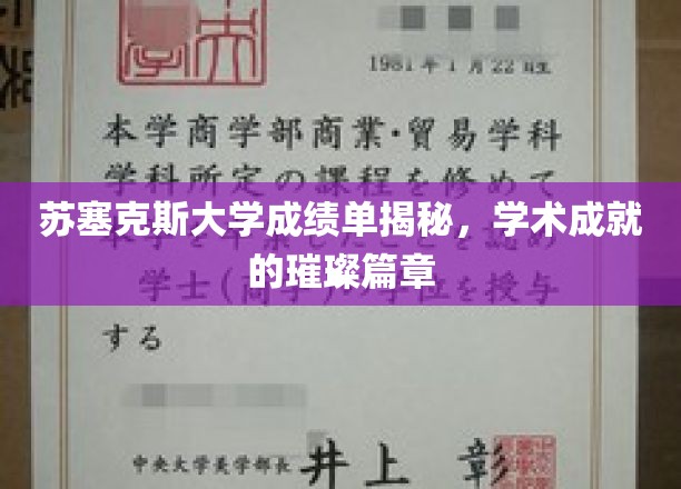 苏塞克斯大学成绩单揭秘，学术成就的璀璨篇章