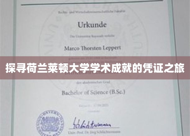 穿越莱顿智慧之门，揭秘荷兰顶尖学府的学术荣耀之旅