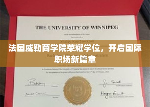 跨国精英摇篮，威勒商学院学位引领职场未来之旅