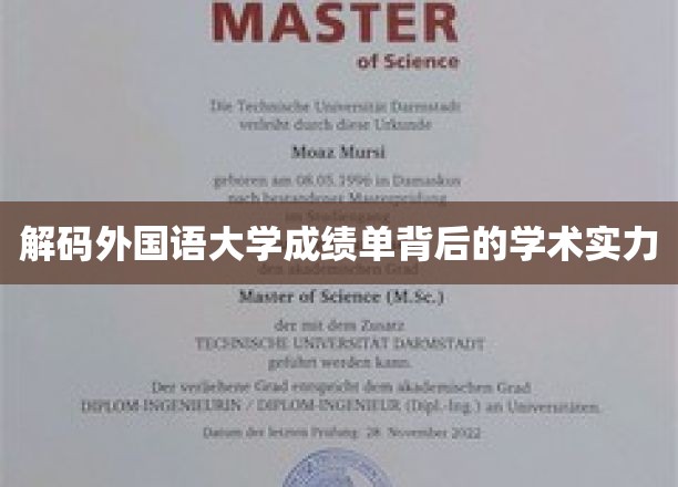 探寻外国语大学成绩单中的学术魅力