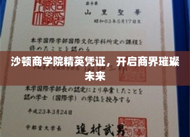 商界新星启航，沙顿商学院精英凭证助你璀璨前程