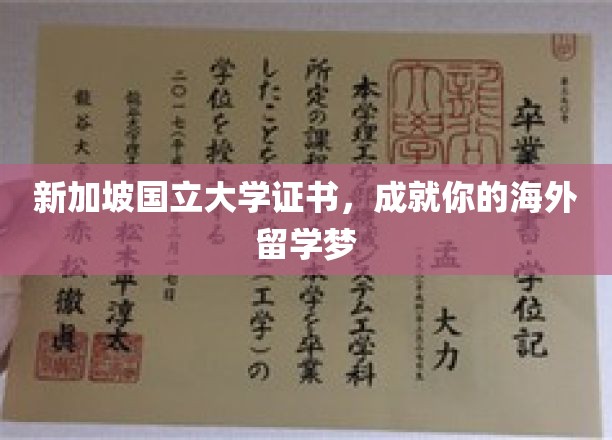 新加坡国立大学认证，助你跨越留学梦想的彼岸