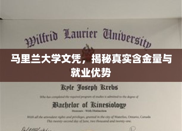 马里兰大学文凭解析，深度揭秘其含金量与职场优势