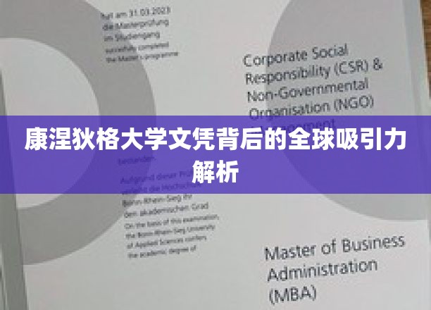 解码康涅狄格大学文凭，全球人才争夺背后的秘密力量