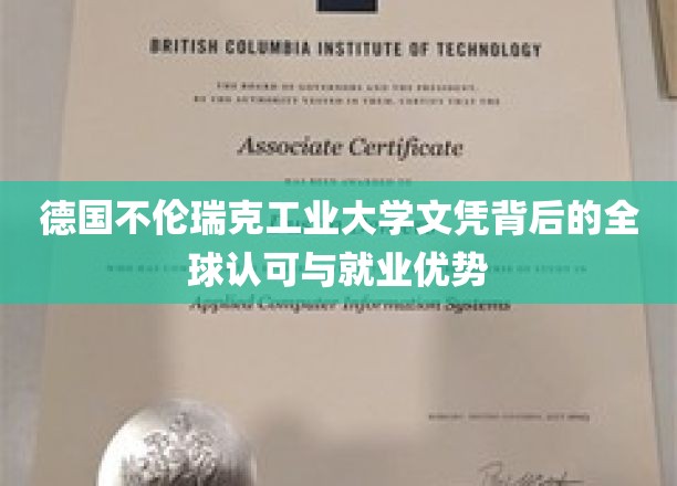 德国不伦瑞克工业大学文凭背后的全球认可与就业优势