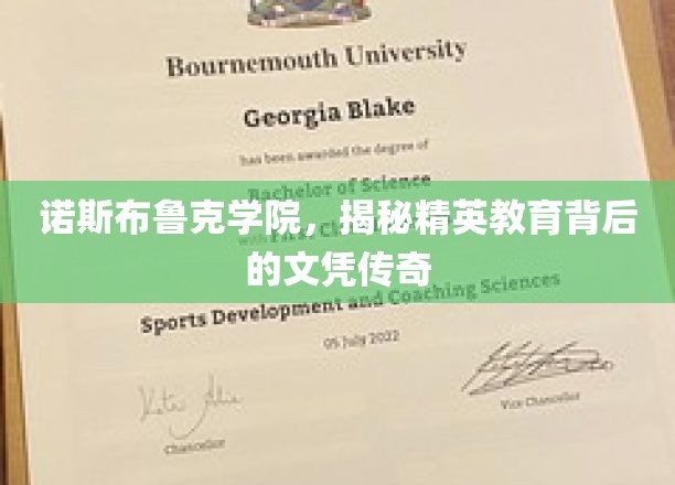 揭开诺斯布鲁克学院的精英光环，探寻文凭背后的教育奥秘