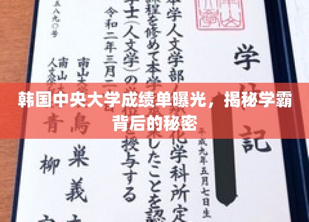 韩中央大学学霸档案大公开，揭秘成绩单背后的惊人真相
