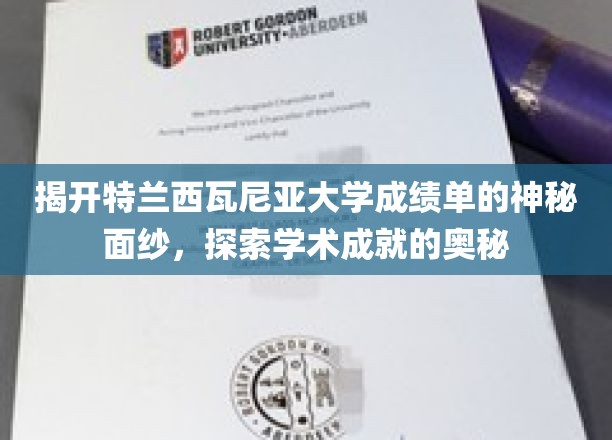 解码特兰西瓦尼亚大学成绩单，揭秘学术卓越的神秘密码