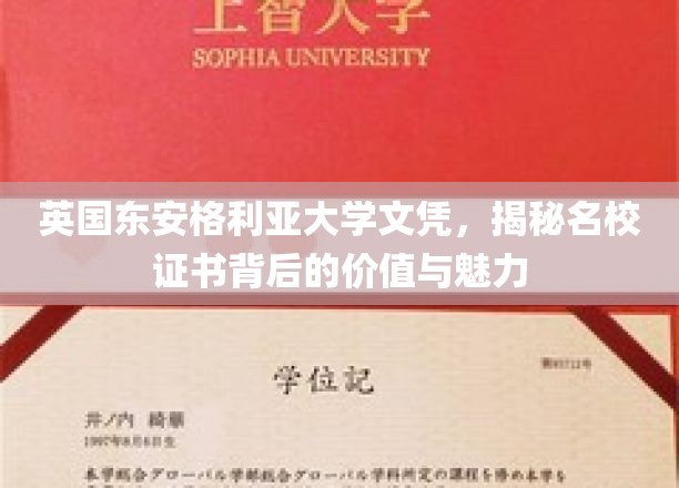 英国东安格利亚大学文凭，揭秘名校证书背后的价值与魅力