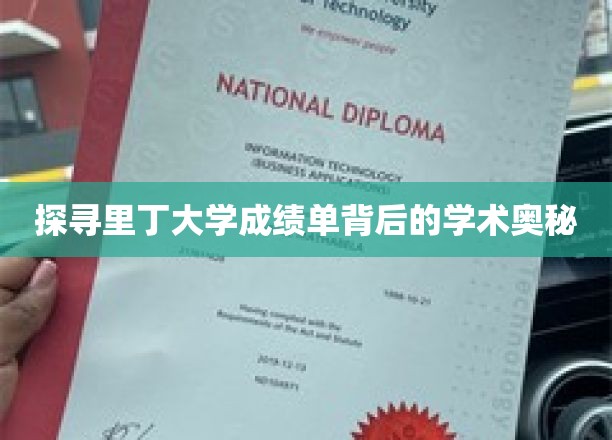探寻里丁大学成绩单背后的学术奥秘