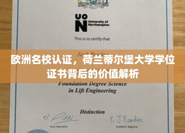 荷兰蒂尔堡大学学位证书，欧洲名校认证背后的多重价值揭秘
