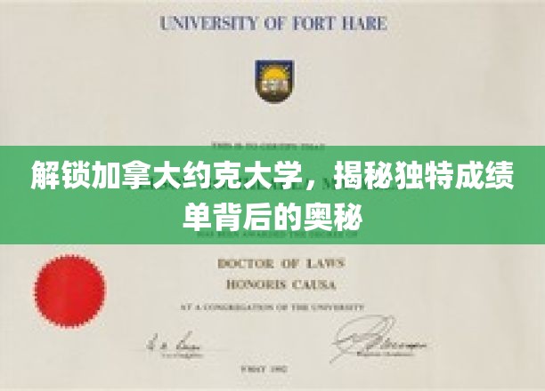 探寻约克大学成绩单，加拿大教育新篇章的神秘面纱