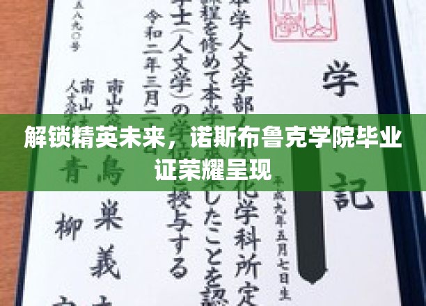 诺斯布鲁克荣耀启航，精英学子毕业证见证辉煌时刻