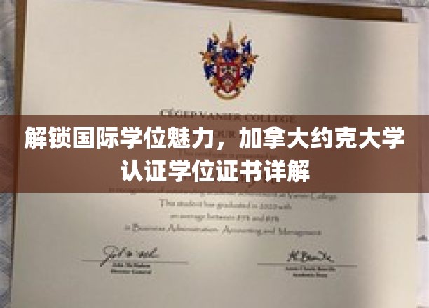 加拿大约克大学学位魅力揭秘，国际认证证书背后的故事