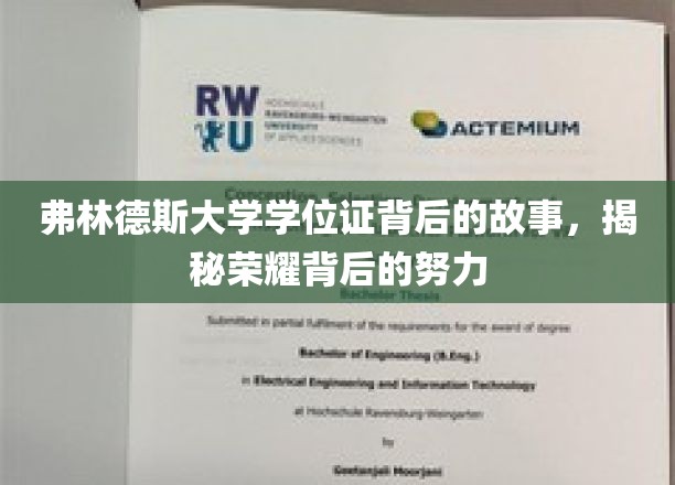 探寻弗林德斯荣耀证书背后的奋斗足迹