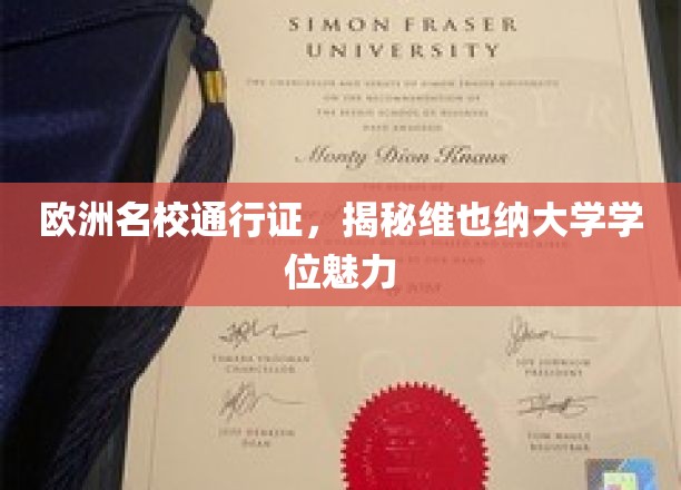 欧洲名校通行证，揭秘维也纳大学学位魅力