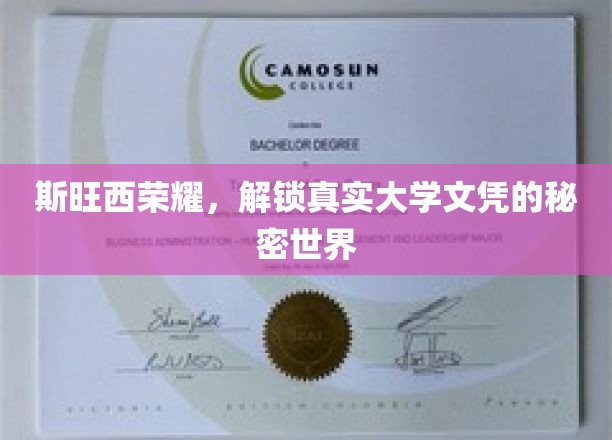 斯旺西荣耀揭秘，探寻真实大学文凭背后的神秘之旅