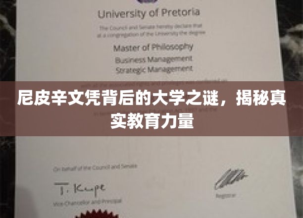 探寻尼皮辛文凭背后的学府传奇，揭秘隐秘的教育力量