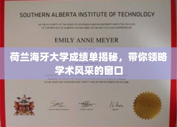 荷兰海牙大学成绩单背后，一窥学术殿堂的风采