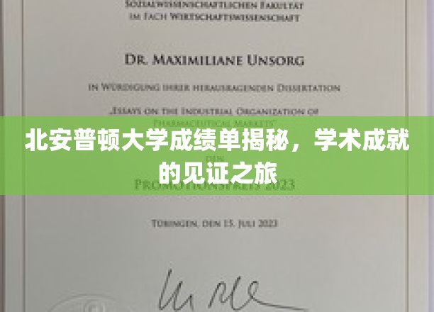 探寻北安普顿大学成绩单背后的学术荣耀之路