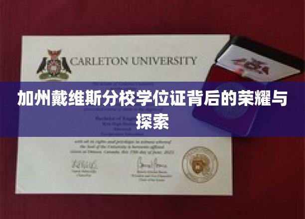 加州戴维斯荣耀之路，学位证背后的传奇揭秘