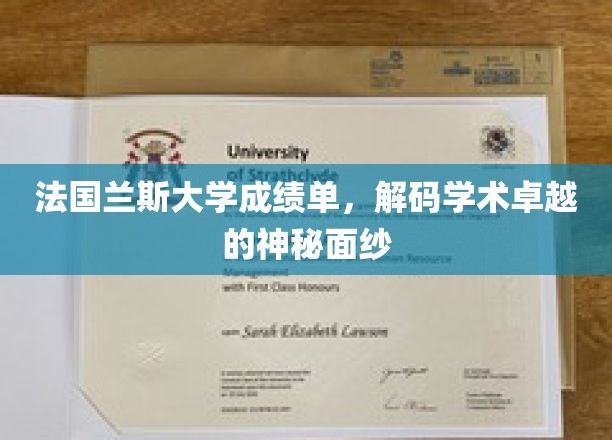 探寻法国兰斯大学成绩单背后的学术辉煌密码