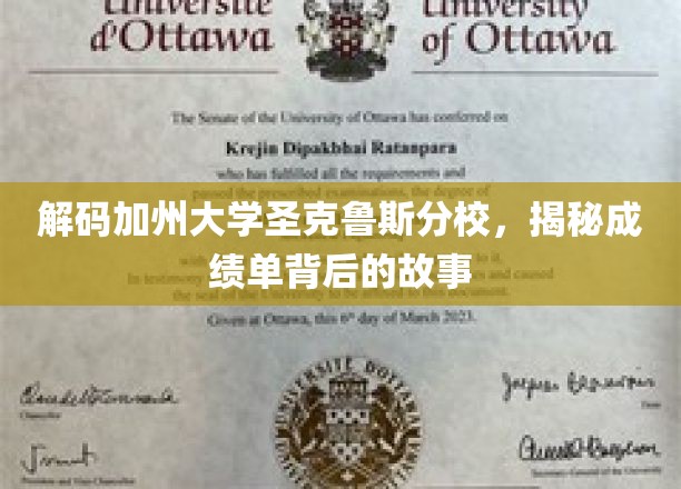 解码加州大学圣克鲁斯分校，揭秘成绩单背后的故事